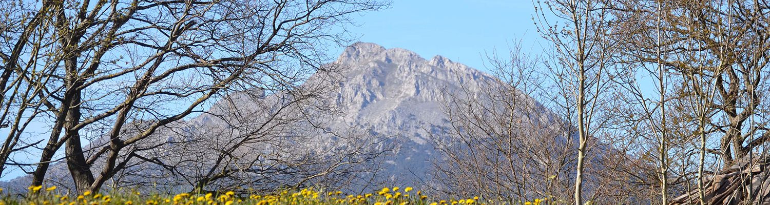 LA CITA ANUAL DEL TURISMO RURAL, ESTE AÑO CON EUSKADI COMO ANFITRIÓN